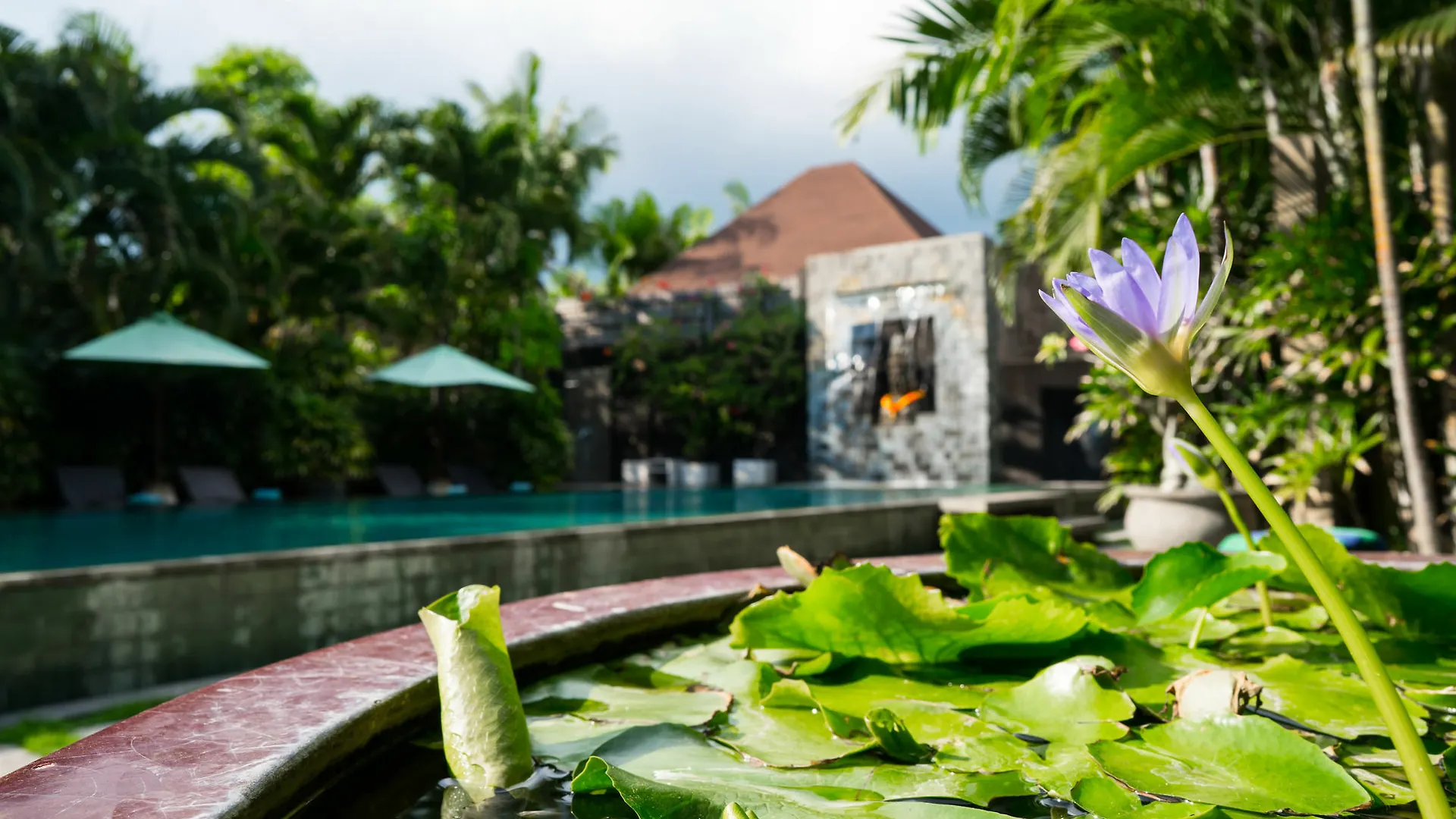 Cicada Luxury Townhouses Hotel Seminyak  4*, Seminyak (Bali) Indonesia